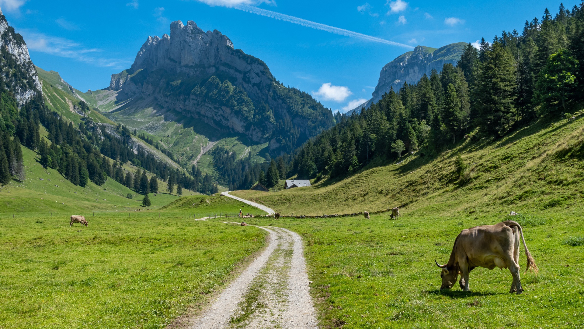 Beautiful mountain view under blue sky in summer