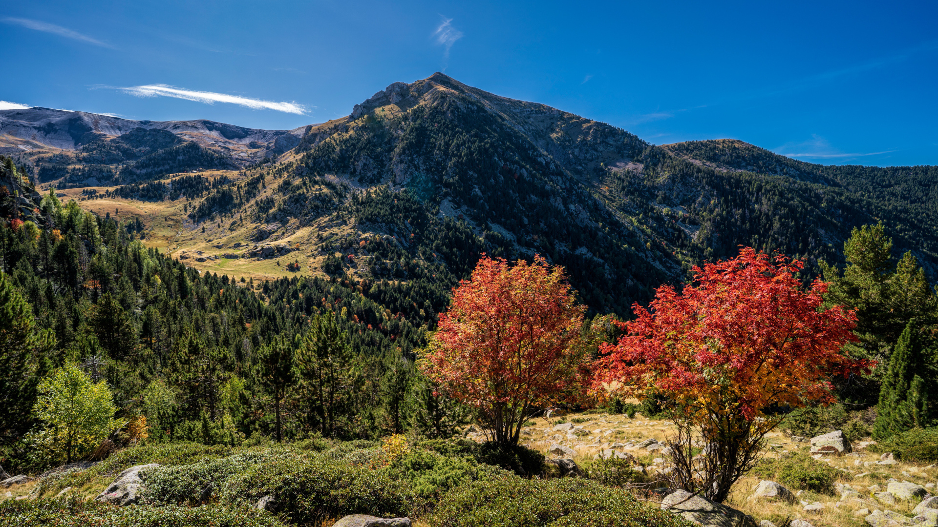 Вид на гору под голубым небом