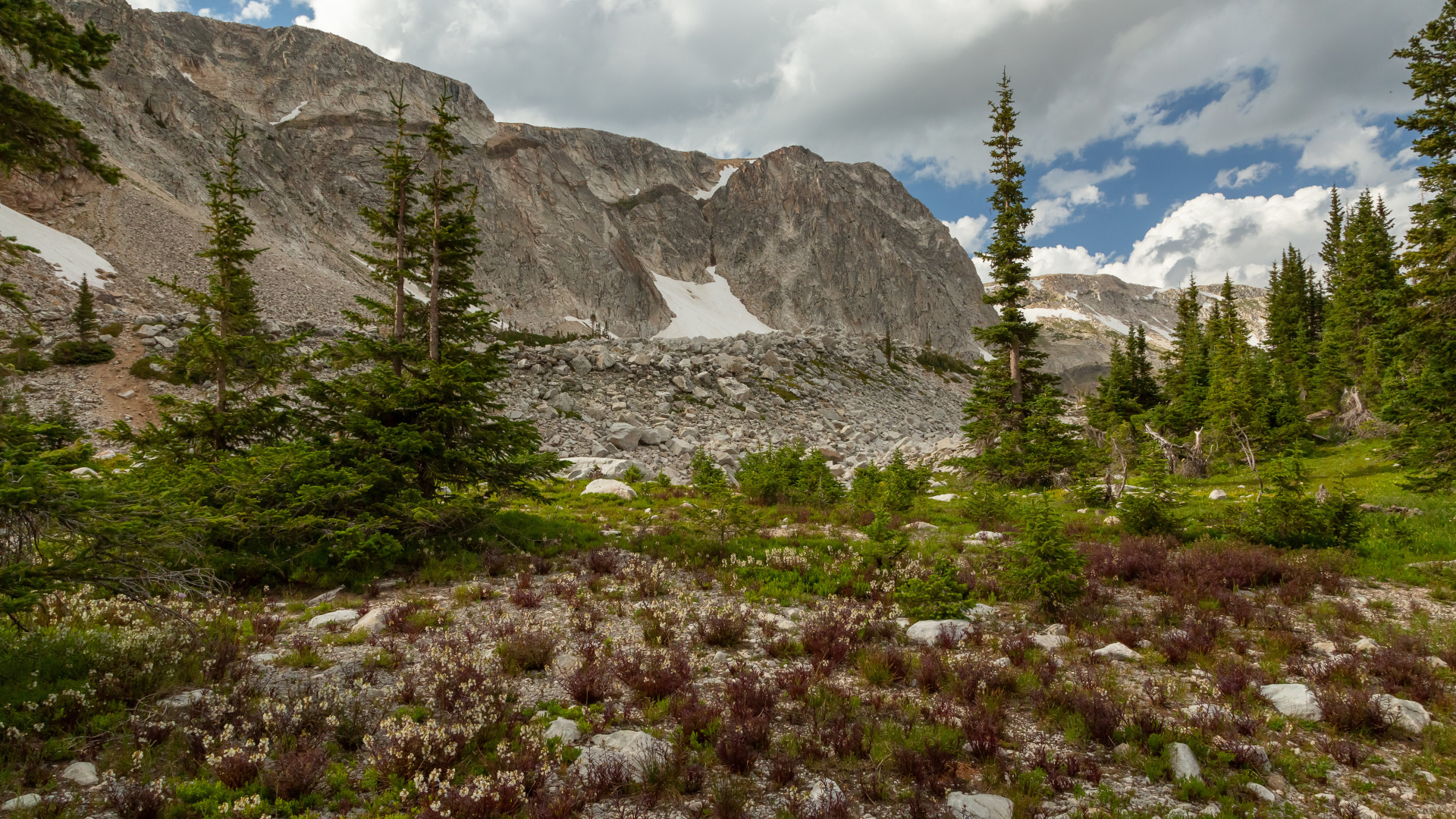 Ели у подножия каменных гор под небом с белыми облаками