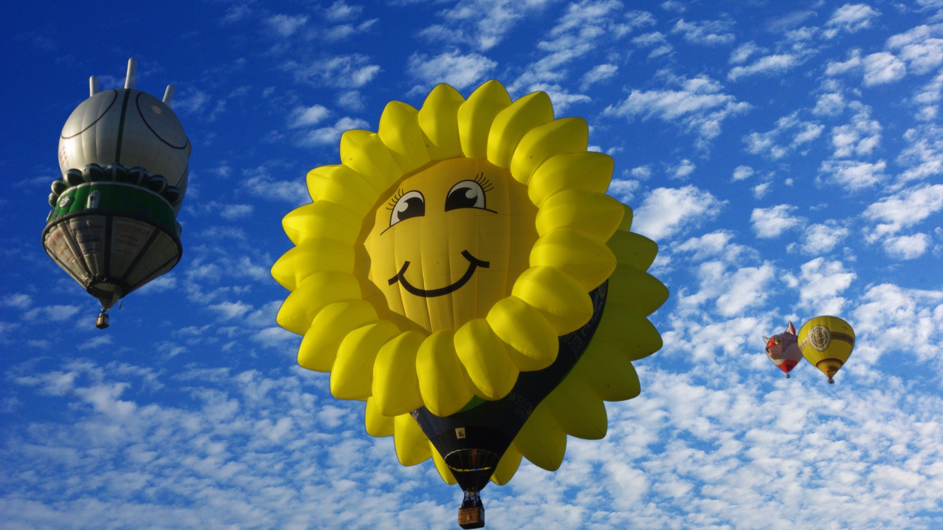 Красивые воздушные шары в голубом небе 