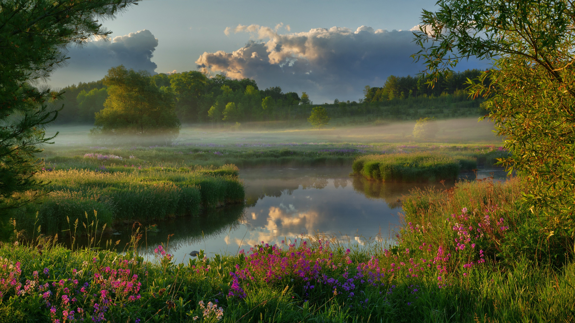 Туман над полем у реки на рассвете 
