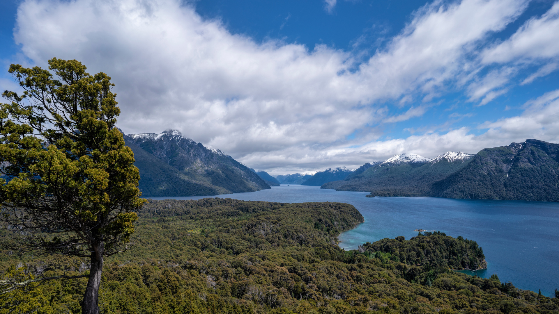 Красивый вид на реку под голубым небом с белыми облаками