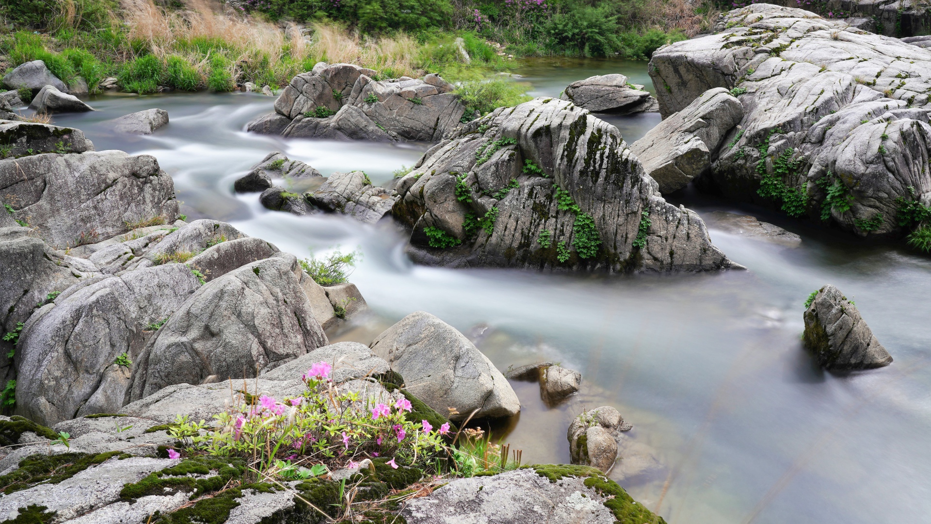 Большие камни в горной реке 