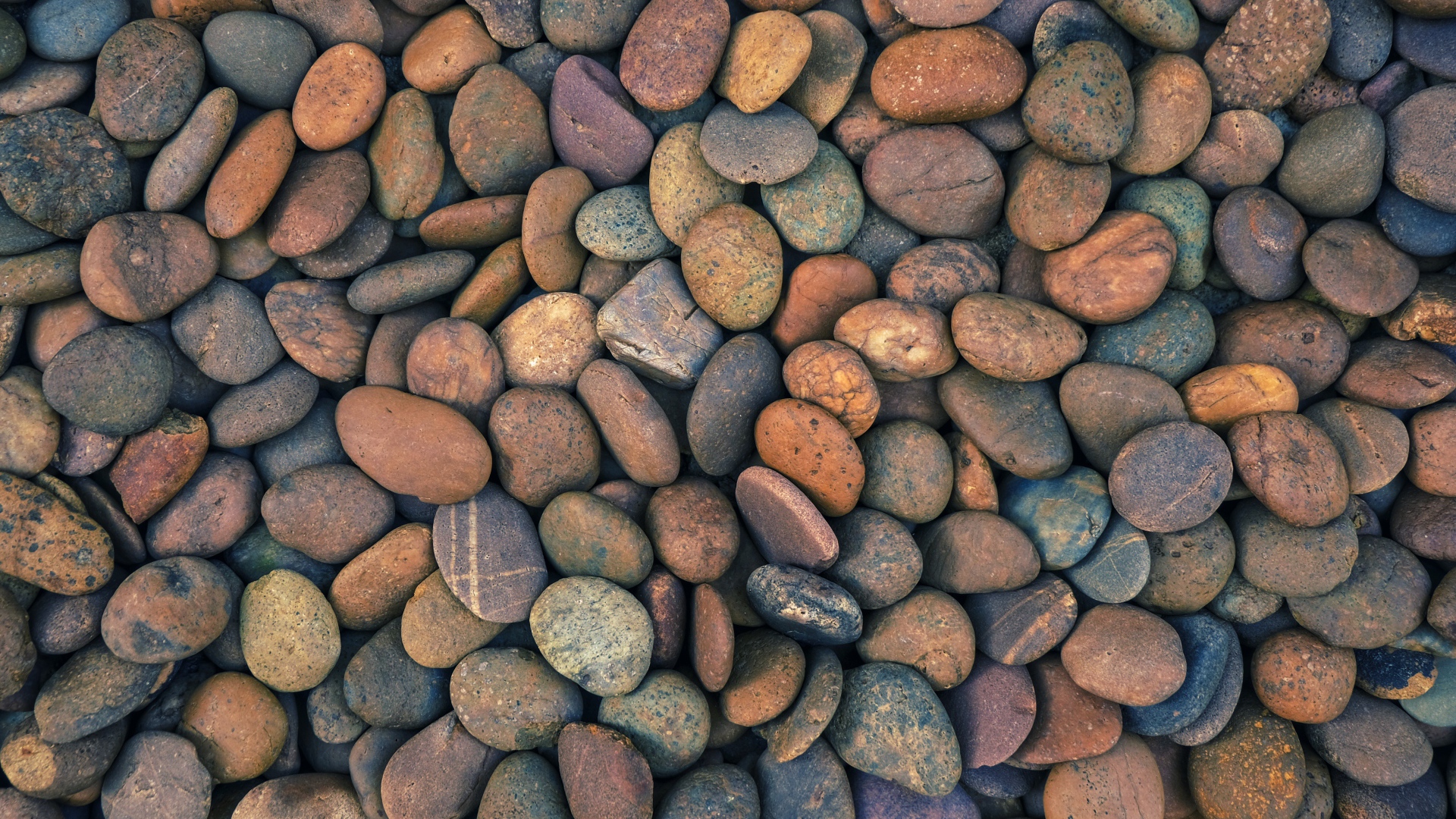 Много мелких морских камней крупным планом