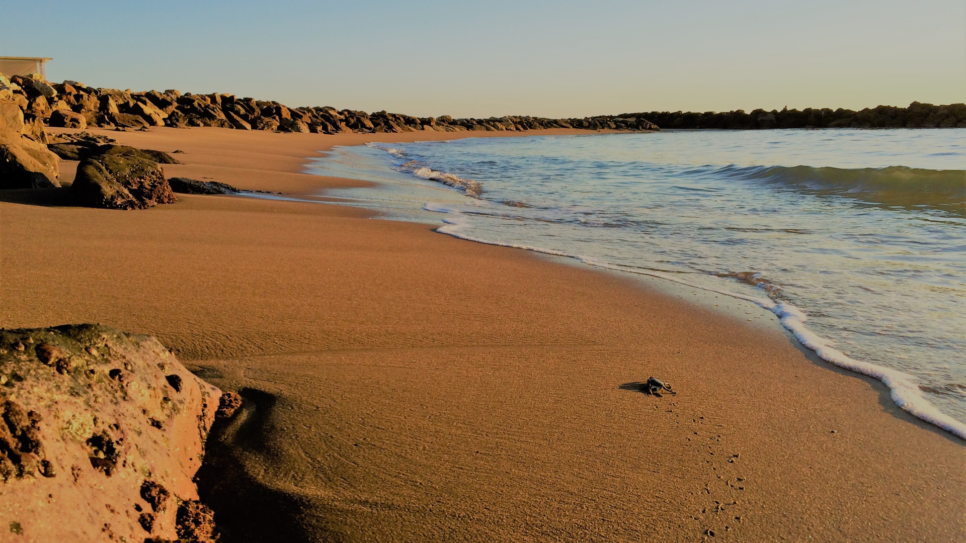 Камни на мокром песке к моря 