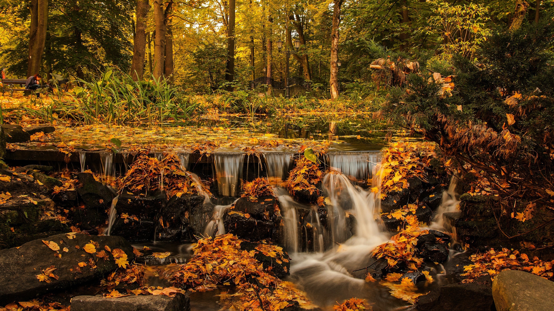 Вода реки стекает по камням в осеннем лесу