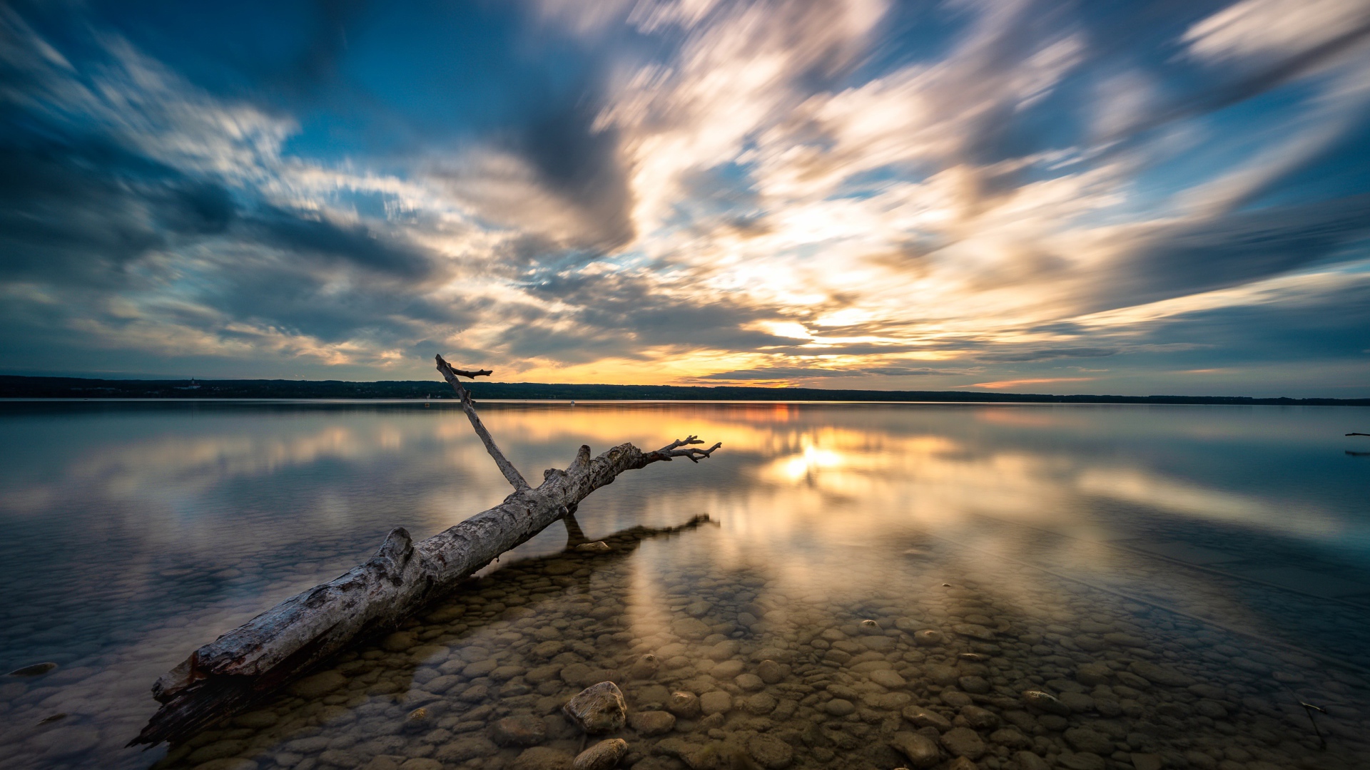 Старое дерево лежит в воде на закате солнца 