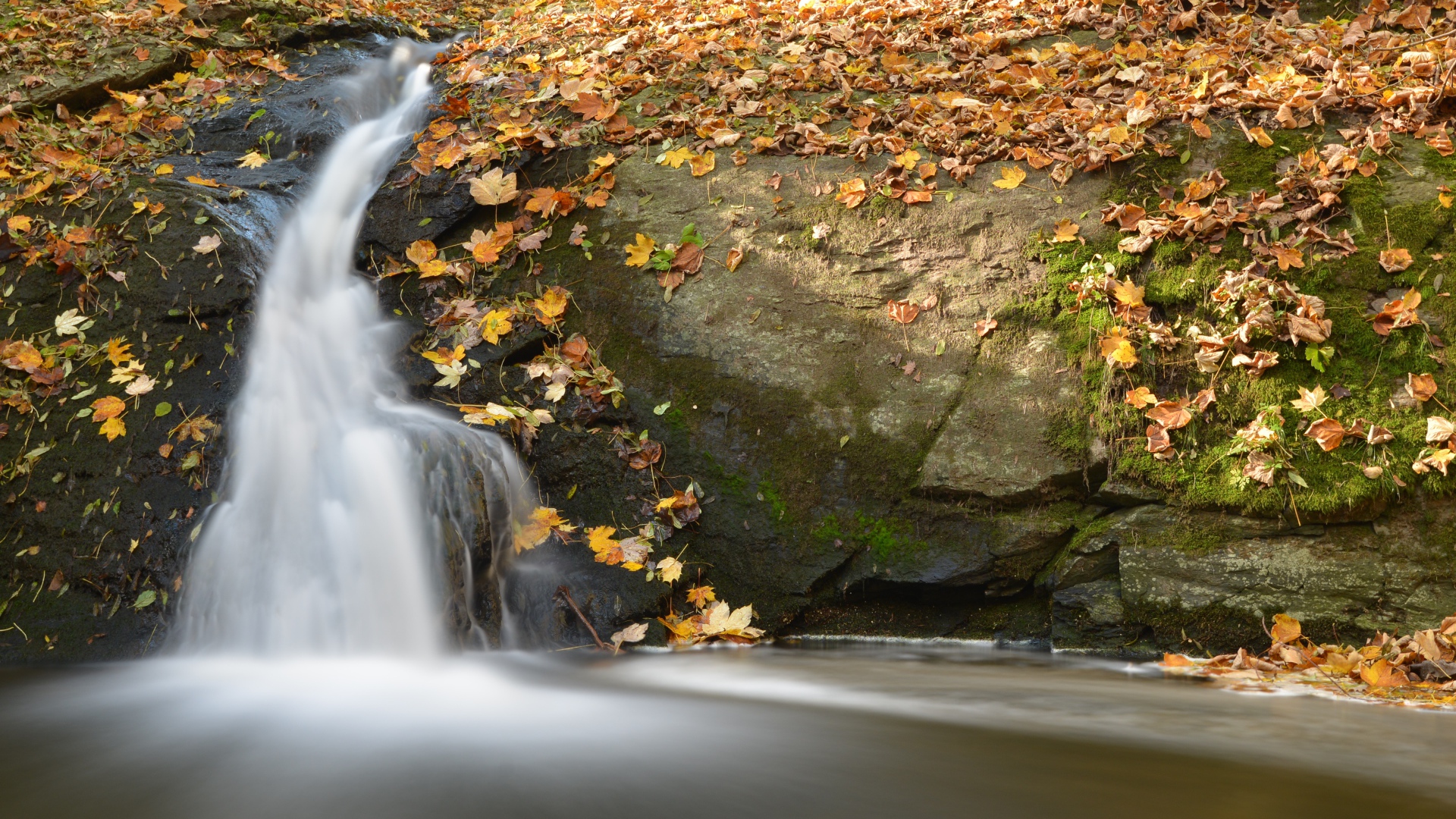 A small waterfall flows into the river on stones covered with fallen leaves