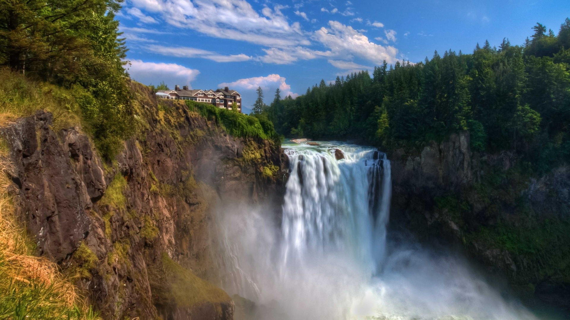 Быстрая вода водопада стекает с утеса у хвойного леса 