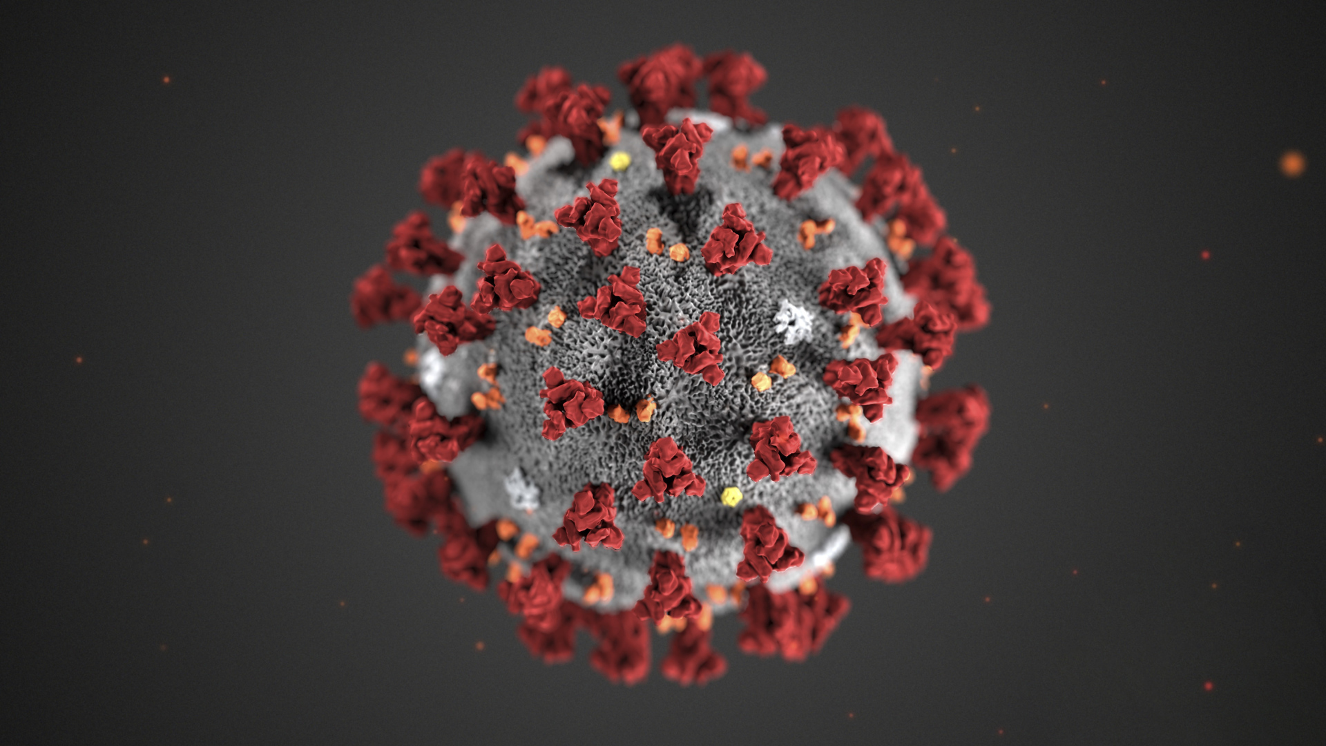 Coronavirus COVID-19 on a gray background