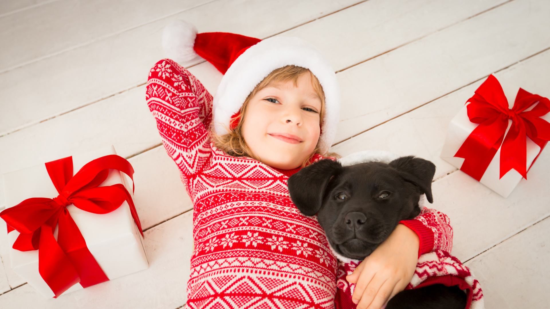 Милая девочка в новогоднем костюме на полу с собакой 