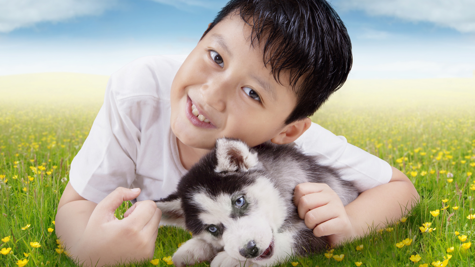 Маленький мальчик с щенком хаски на зеленой траве