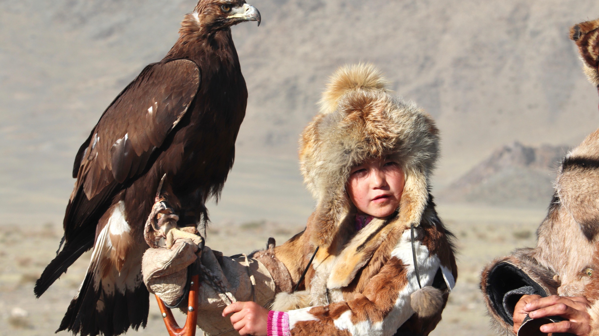 Маленький ребенок на охоте с хищным орлом