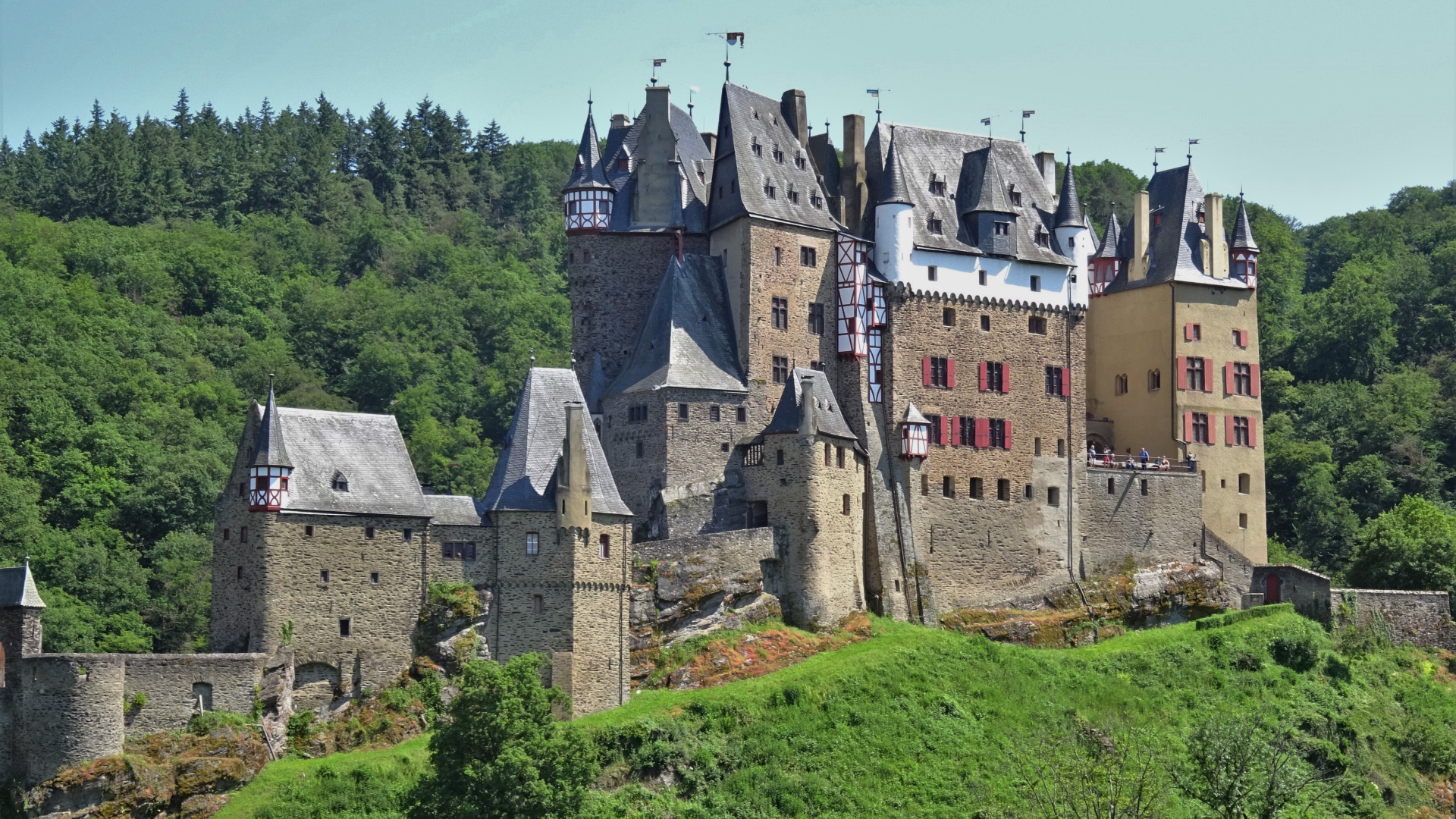 Старинный замок Рейнланд-Пфальц в лесу, Германия