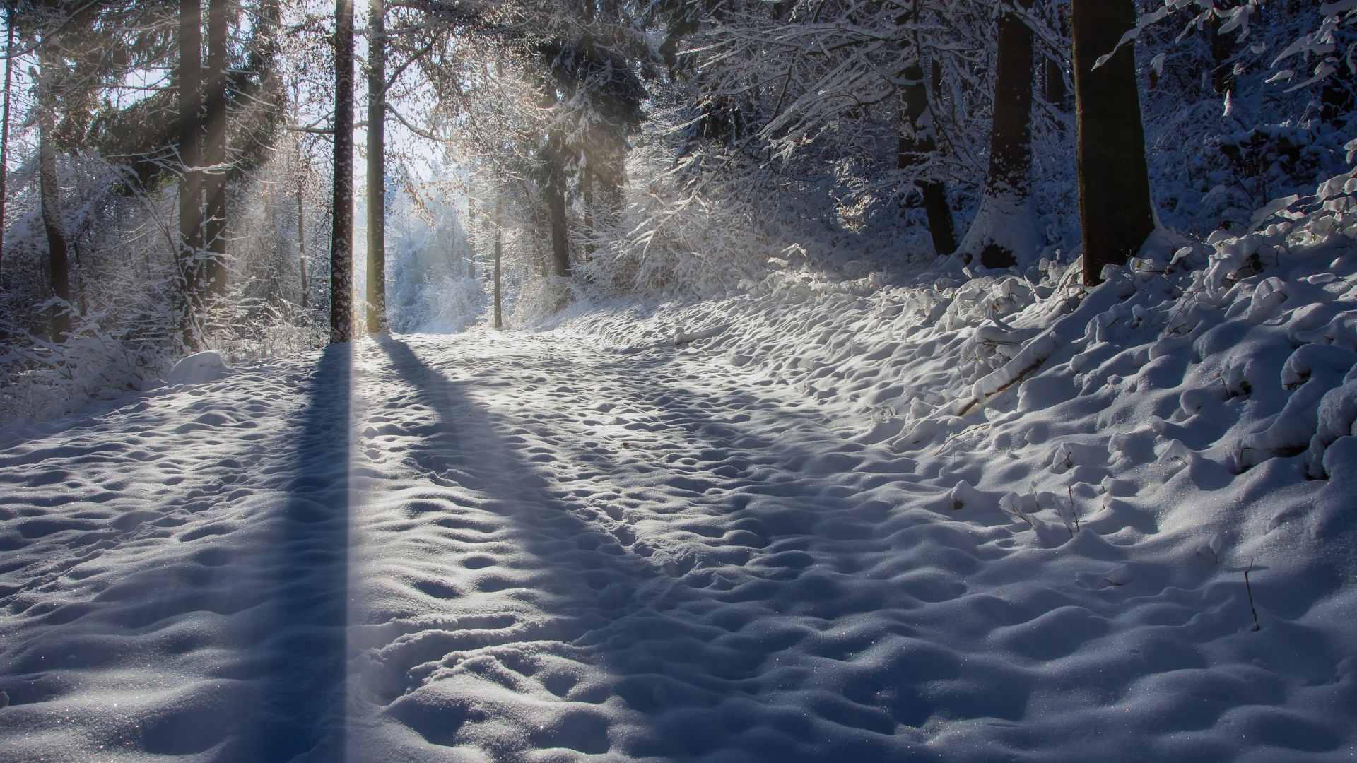 Лучи солнца освещают заснеженную дорогу 