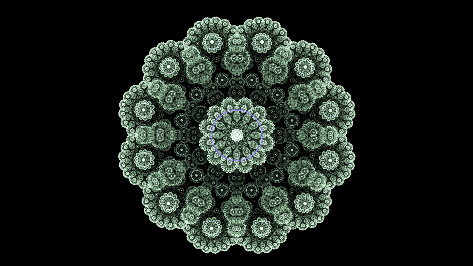 Кружевной зеленый фрактальный цветок на черном фоне