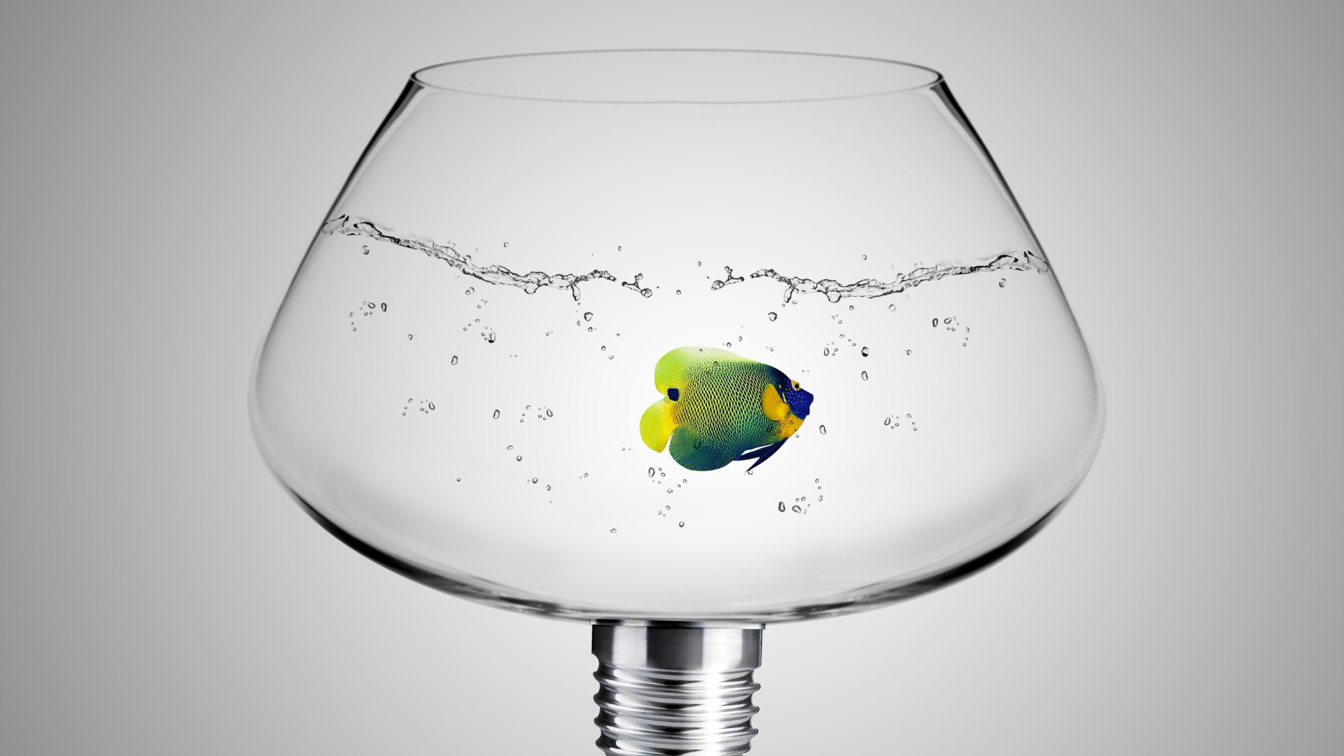 Рыбка в аквариуме лампе на сером фоне