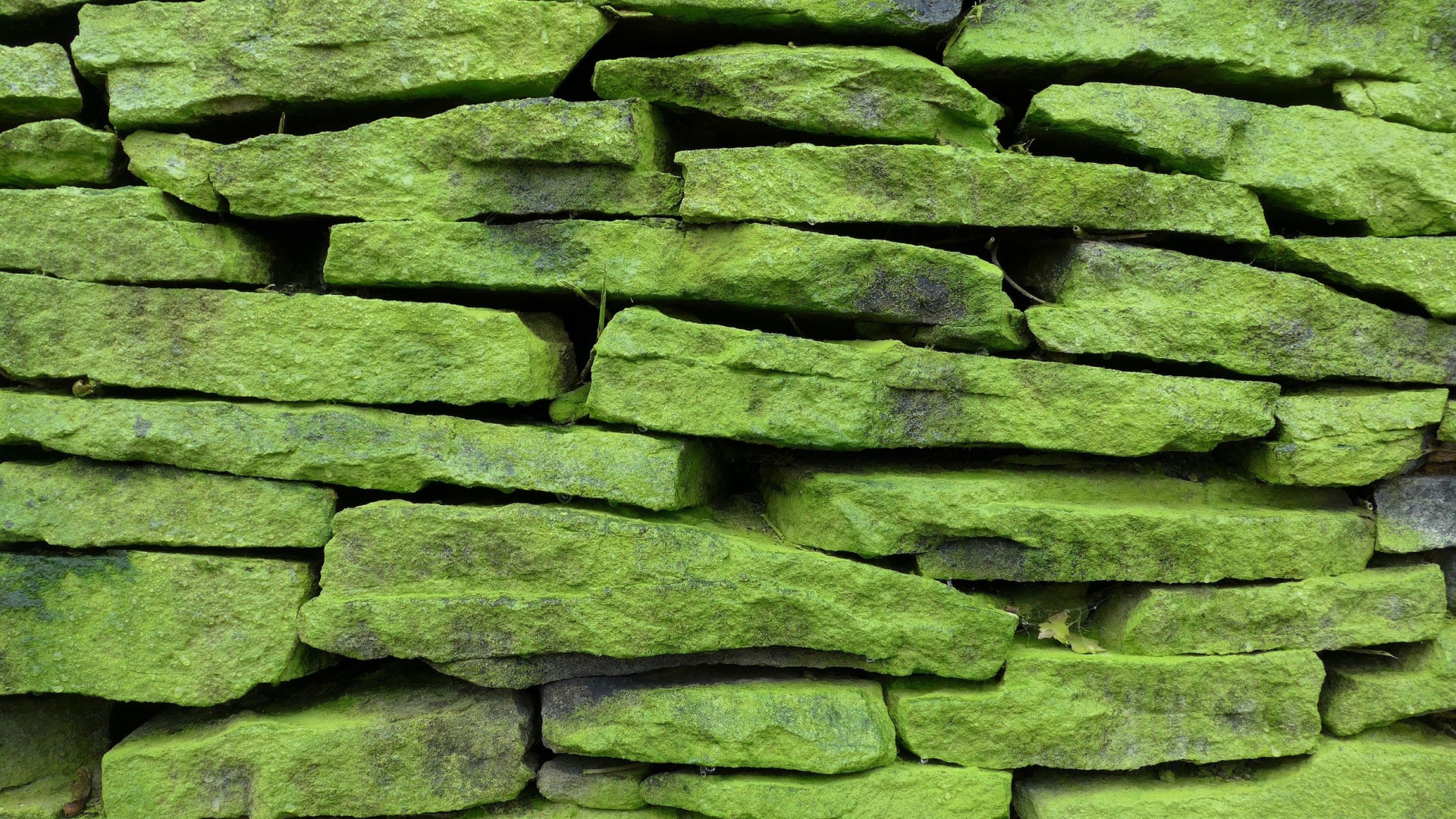 Зеленые покрытые мхом камни на стене, фон 