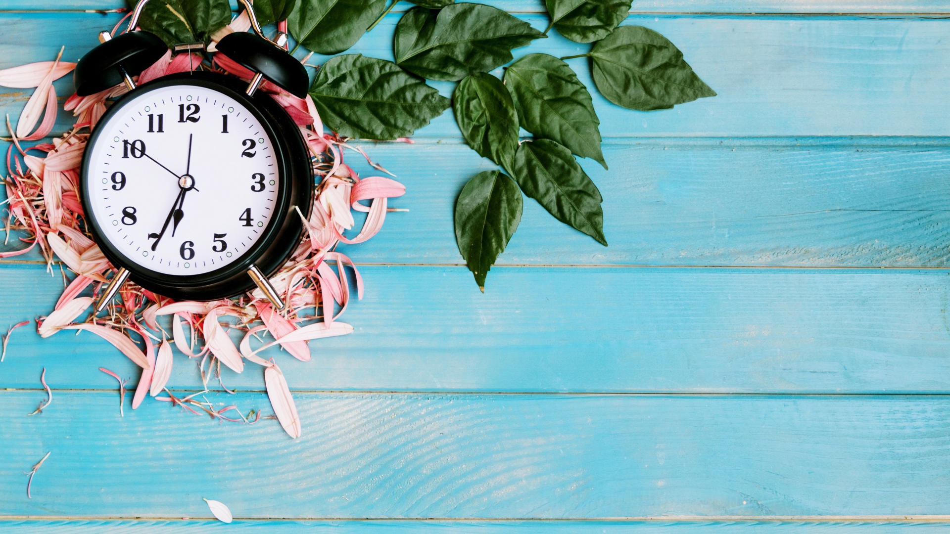 Черный будильник с лепестками цветов и зелеными листьями