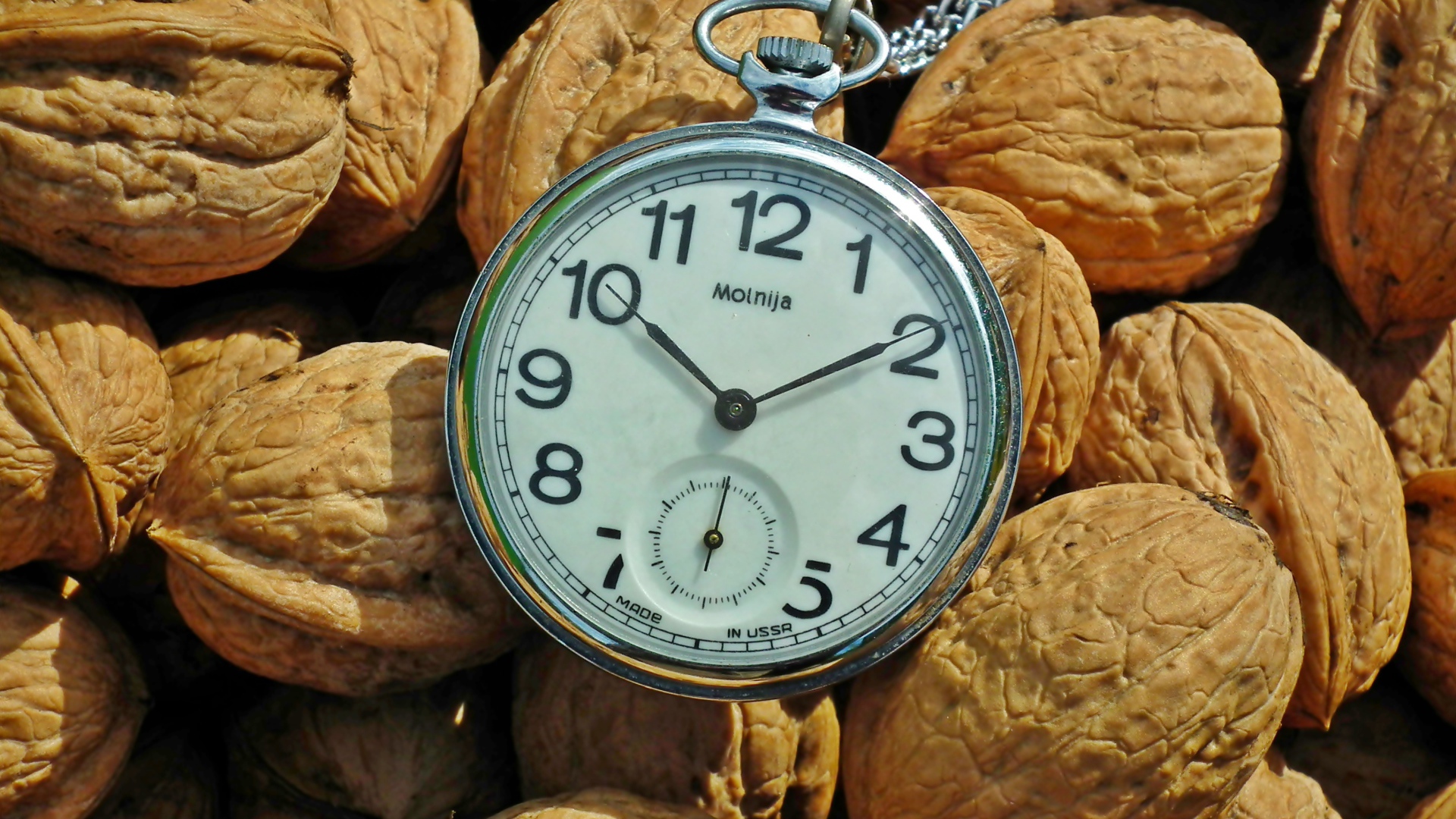 Карманные часы с грецкими орехами 
