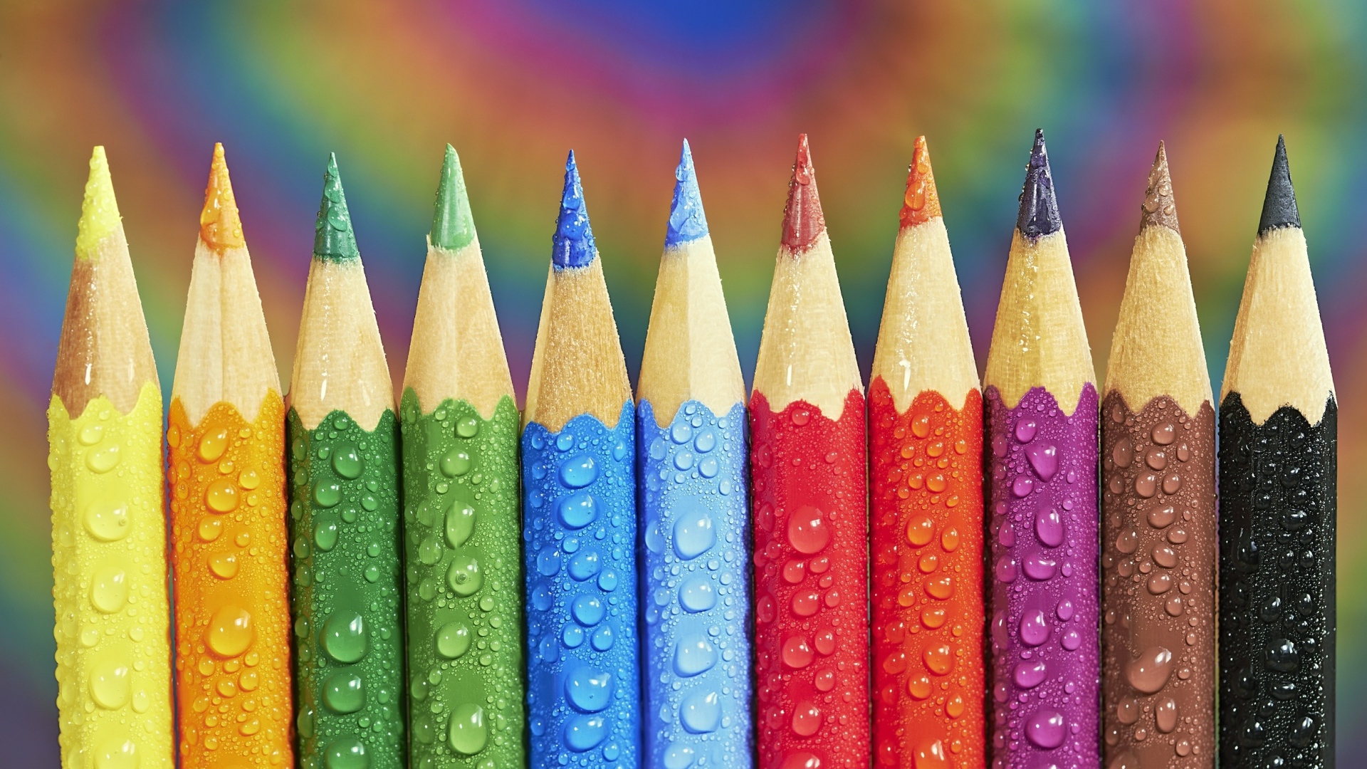 Острые разноцветные  карандаши в каплях росы 