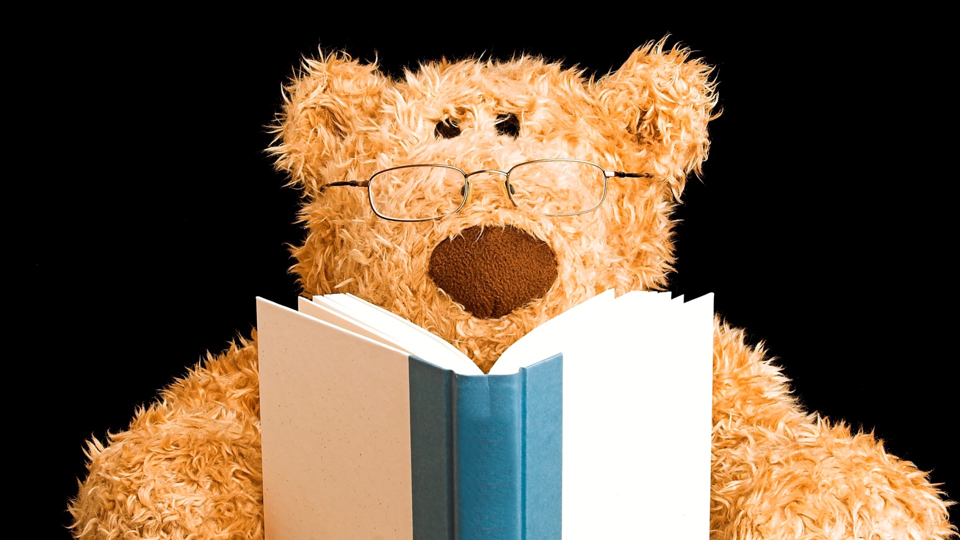 Игрушечный медведь в очках с книгой на черном фоне