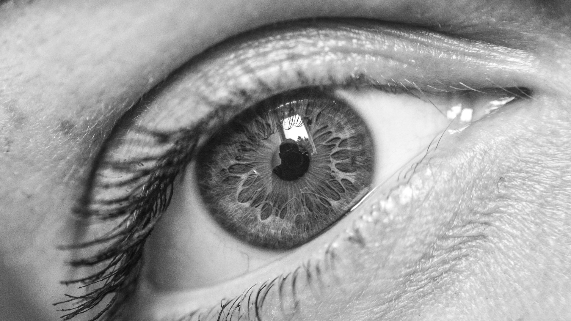 Красивый глаз девушки черно-белое фото