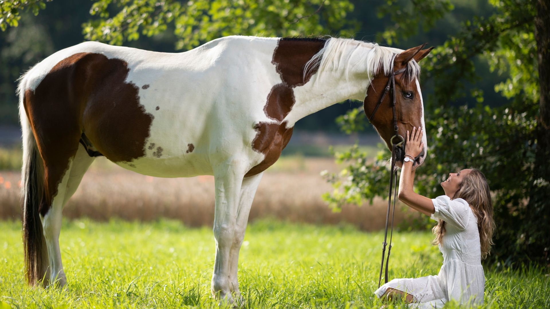 Девушка блондинка с лошадью на зеленой траве