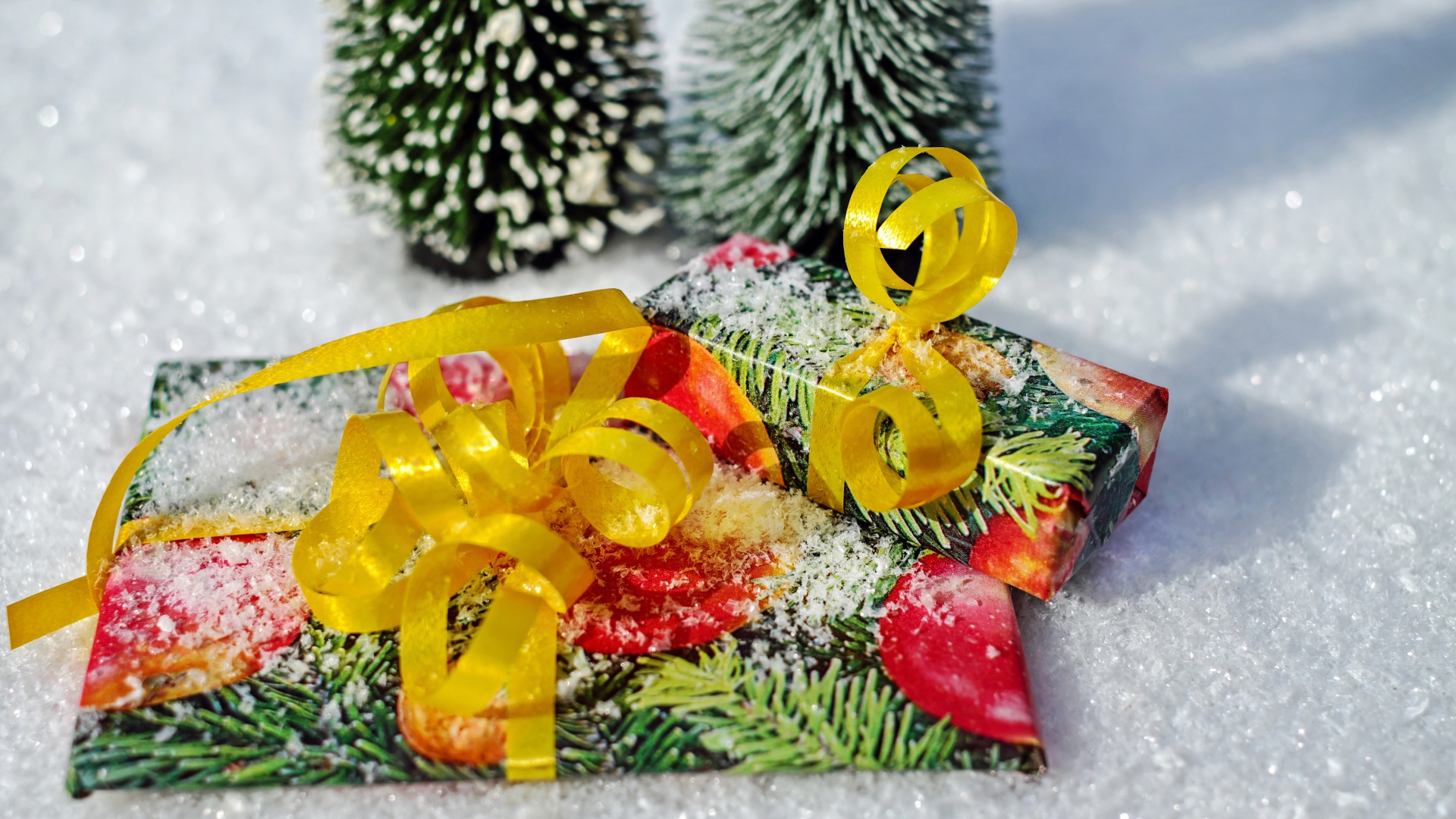 Два подарка с бантами на снегу 