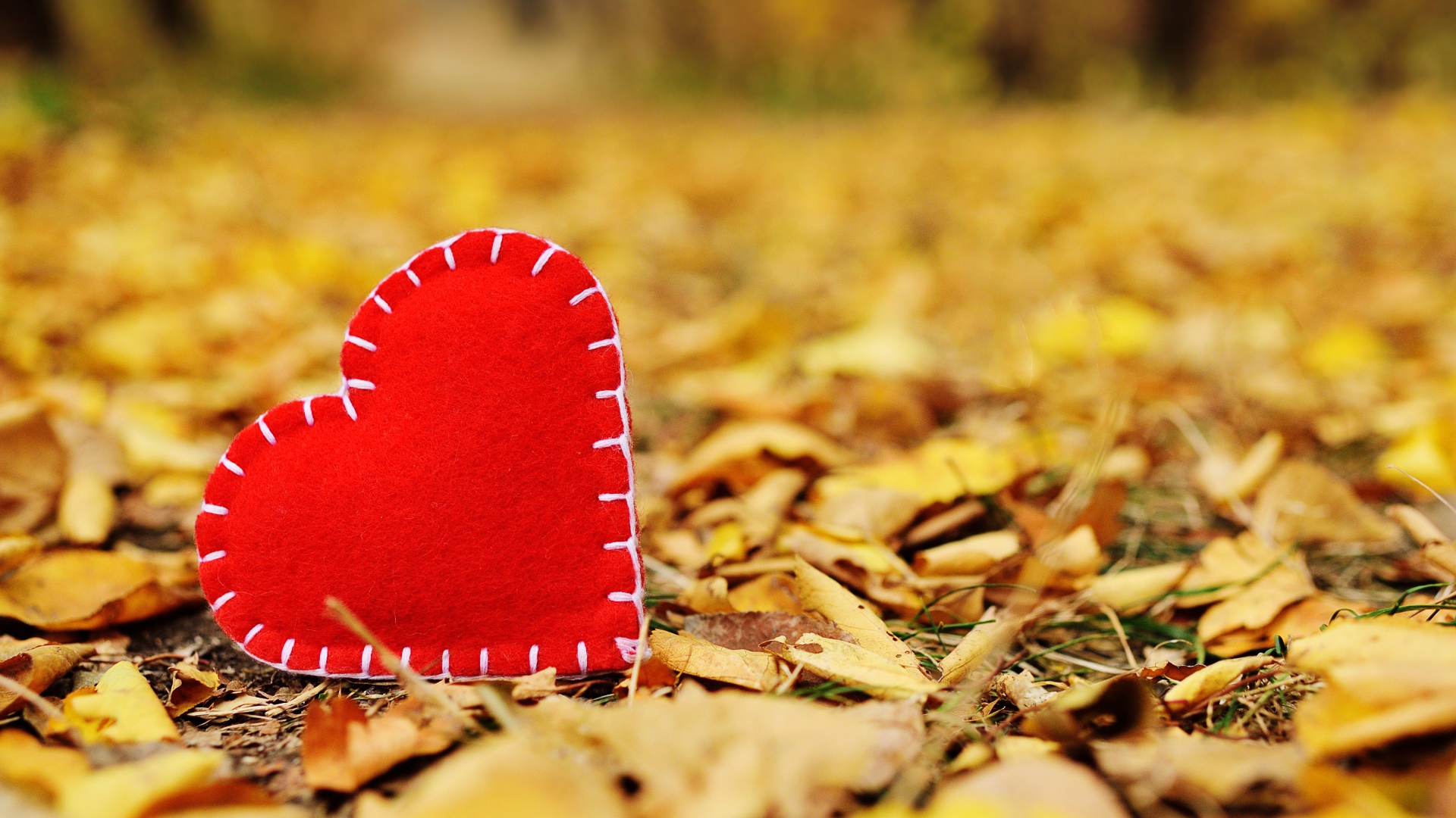 Красное сердце из ткани лежит на сухой листве