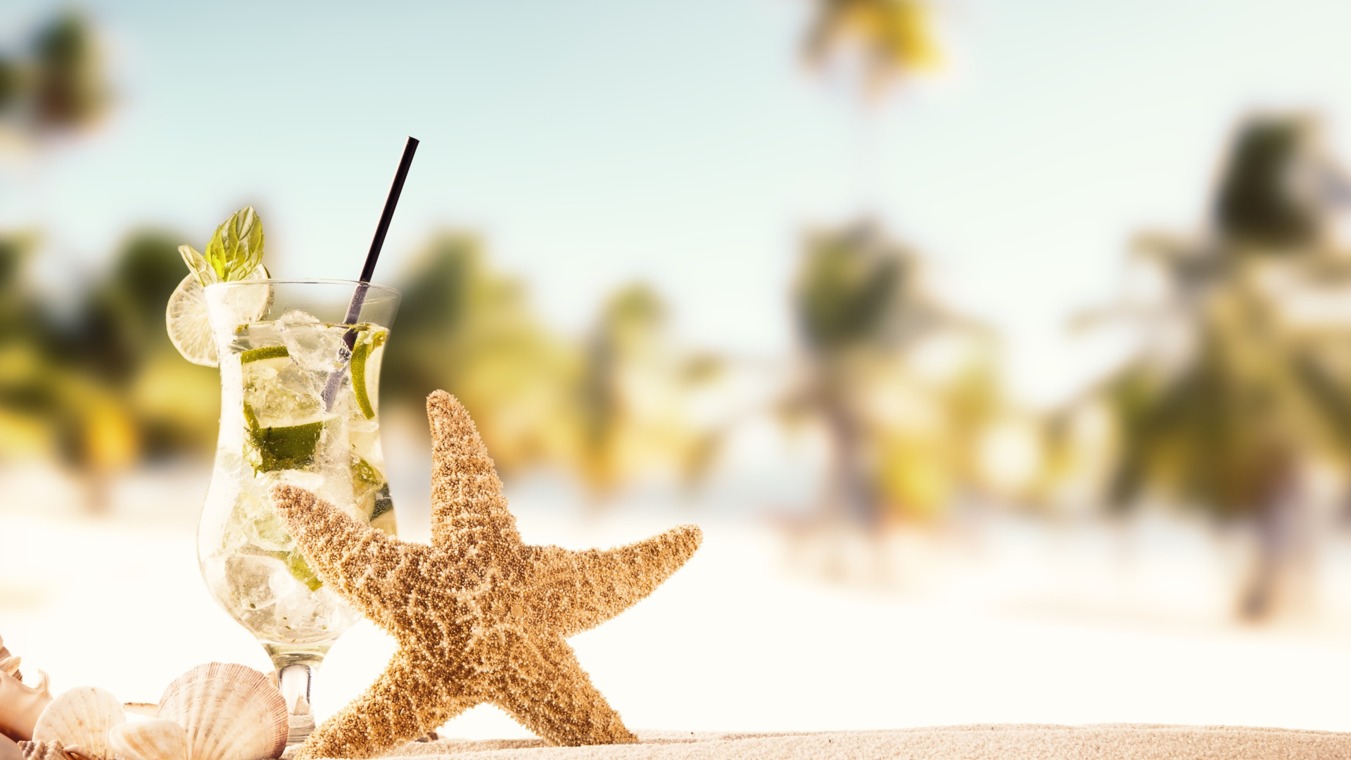 Морская звезда и бокал мохито на песке летом