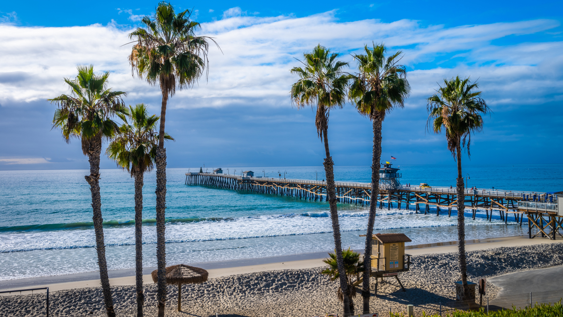 Высокие пальмы на берегу океана у моста 