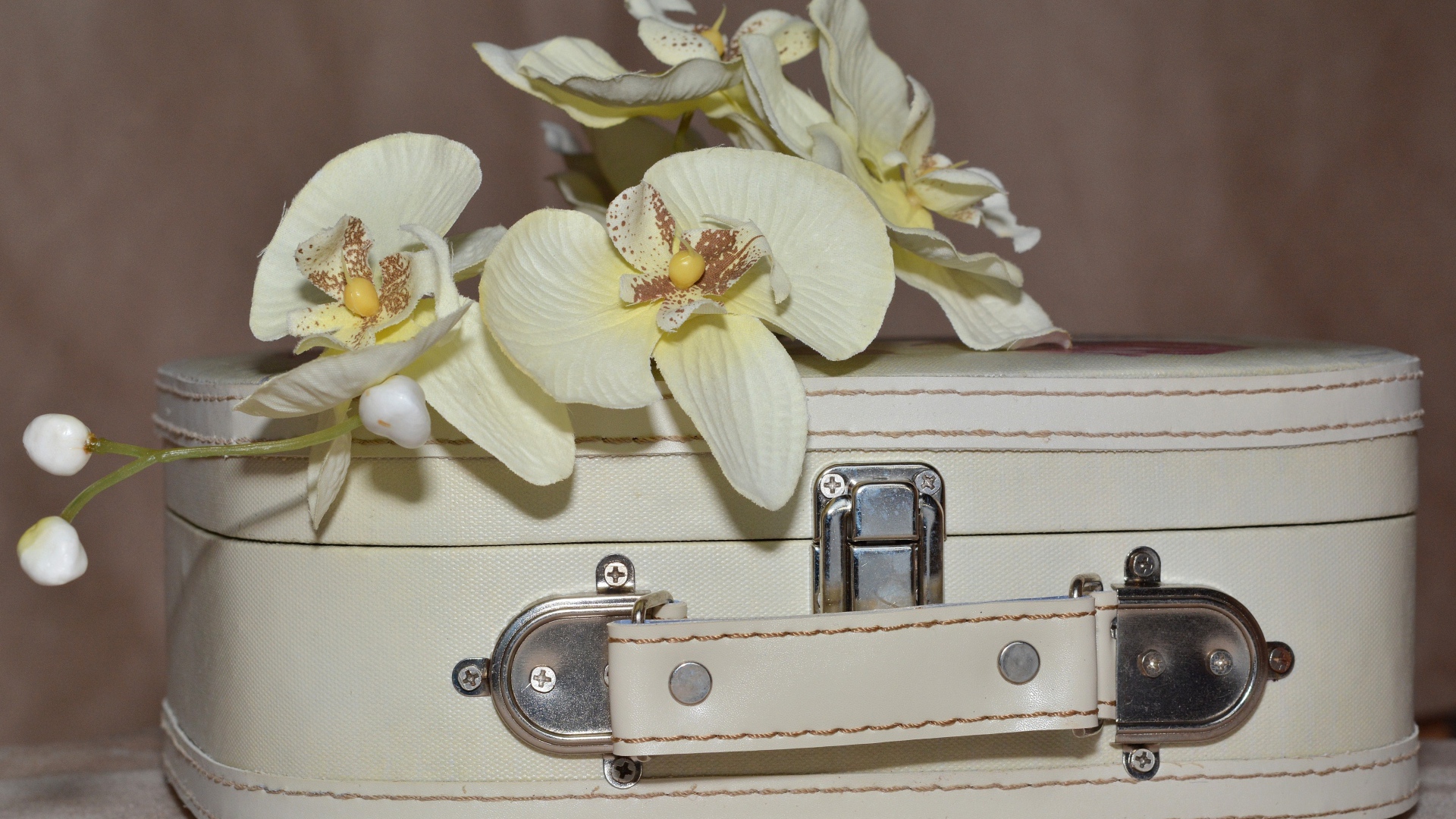 Ветка цветов орхидеи лежит на белом чемодане