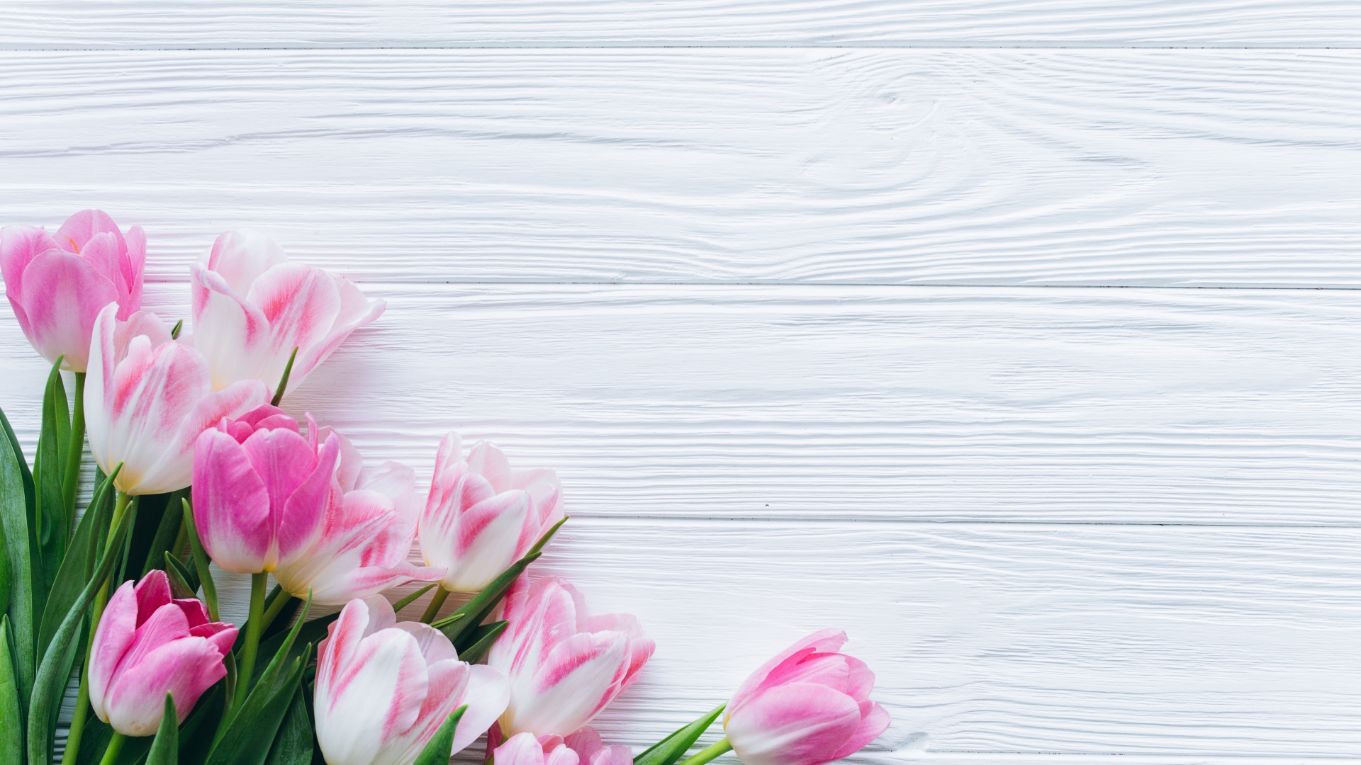 Красивый букет розовых тюльпанов на столе