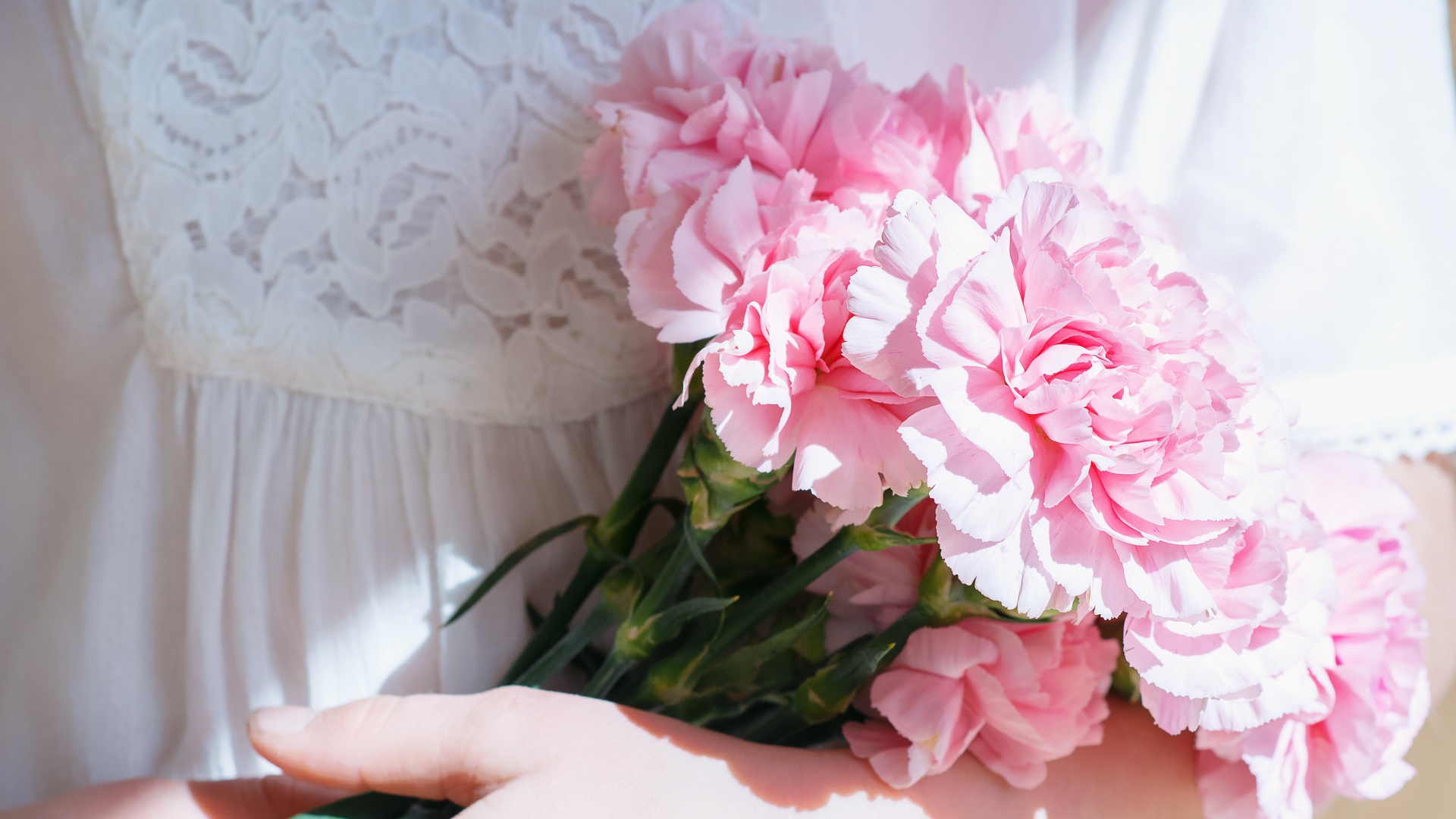 Букет розовых цветов гвоздики в руках у невесты