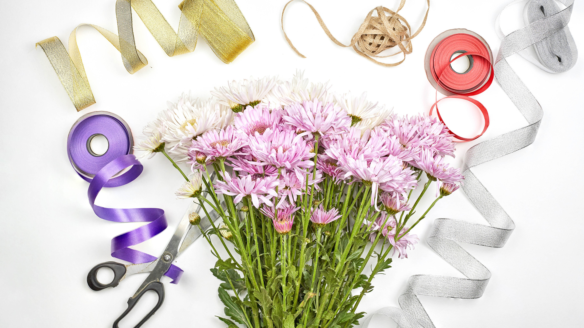 Букет розовых цветов хризантемы с ленточками на белом фоне