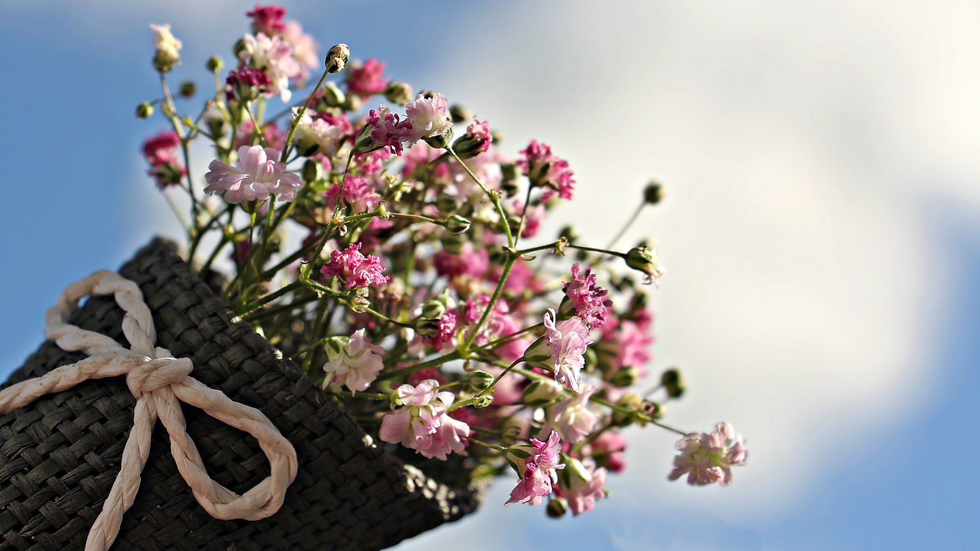 Букет розовых цветов в корзине на фоне голубого неба
