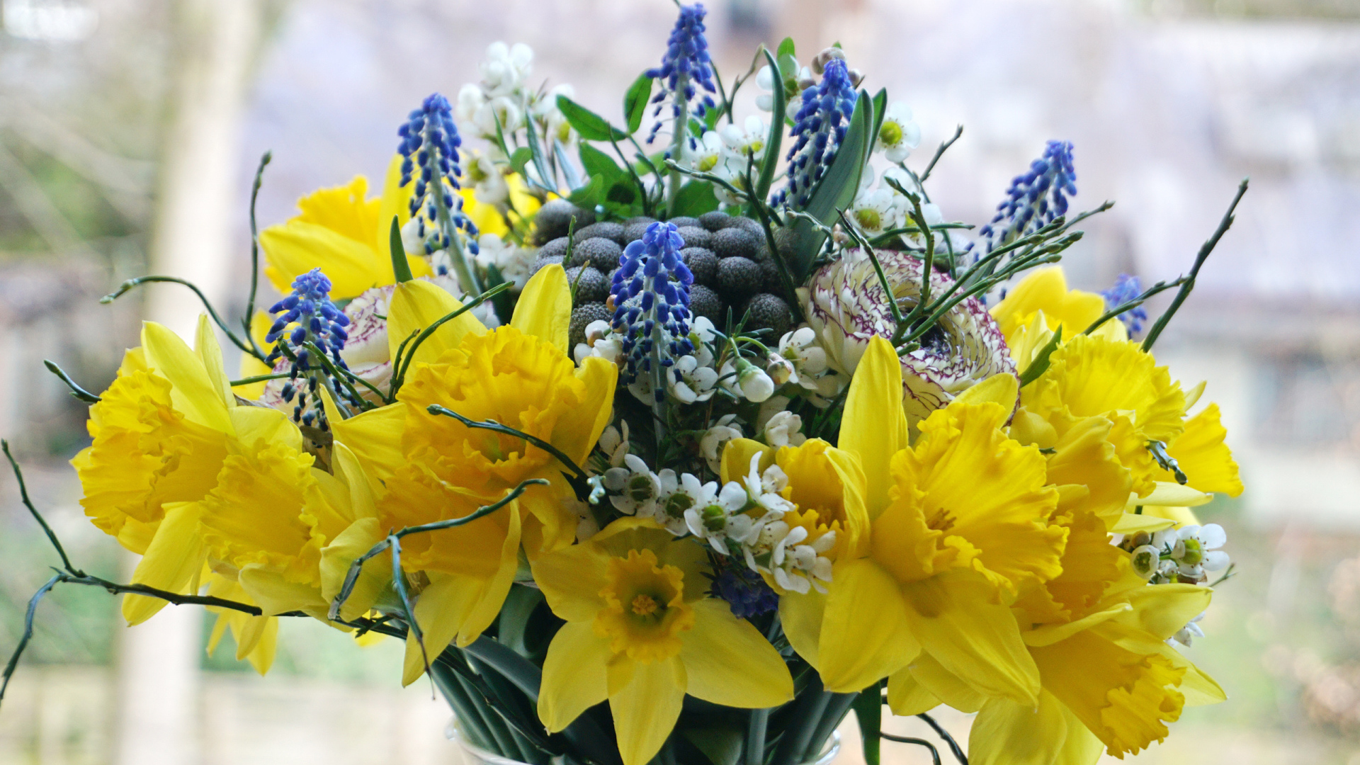 Букет желтых нарциссов с другими цветами в вазе