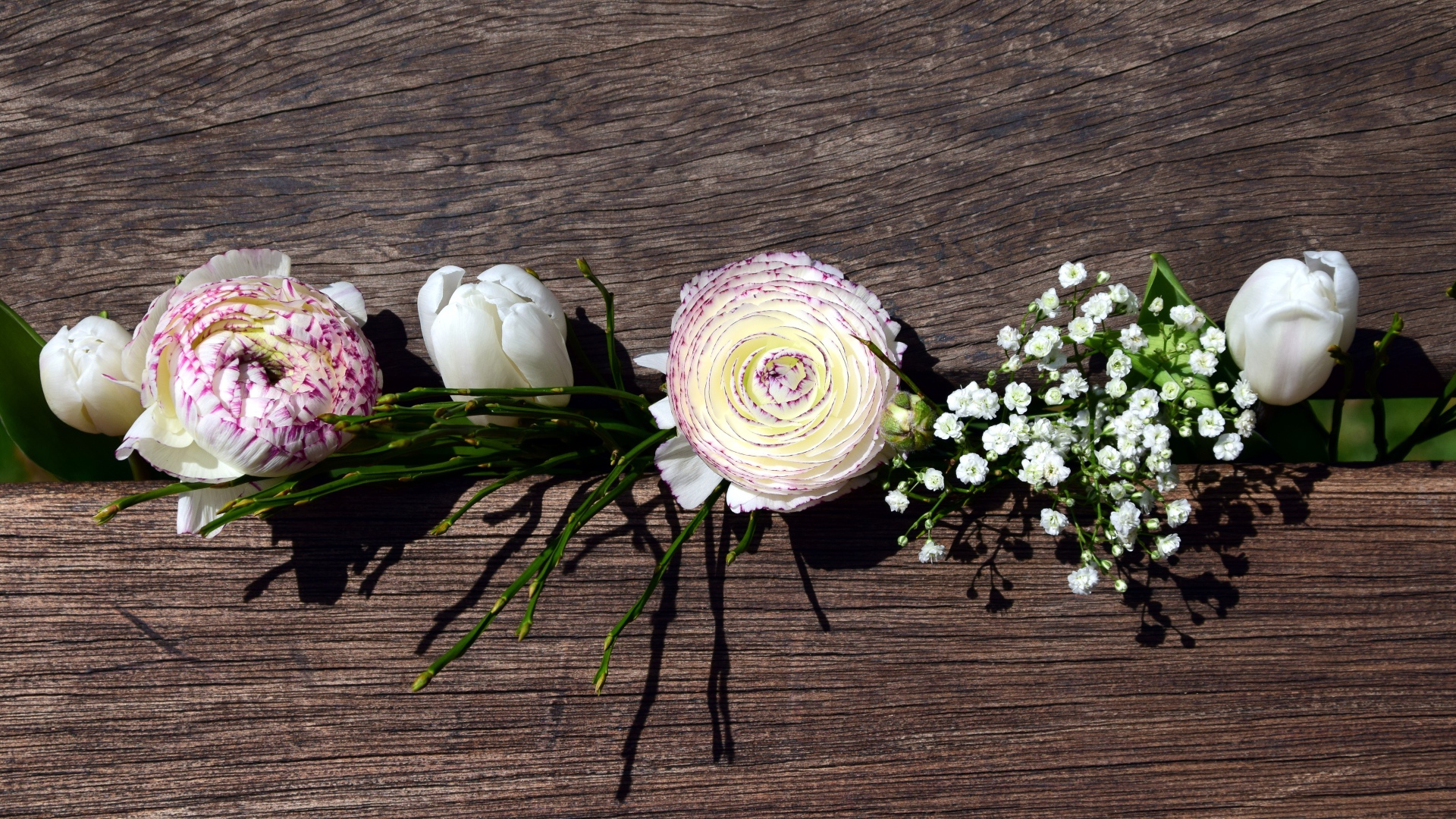 Цветы лютика, тюльпана и гипсофилы в ящике