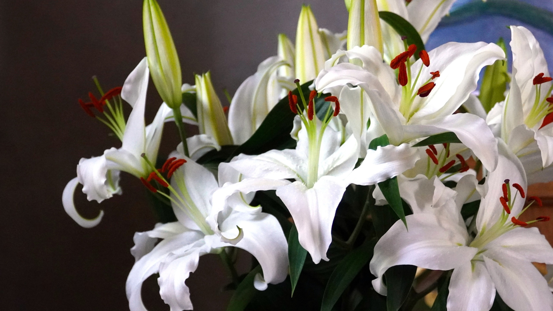 Нежный букет белых лилий с бутонами