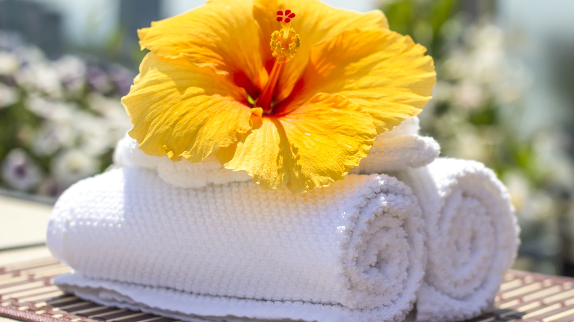 Большой цветок гибискуса с белыми полотенцами