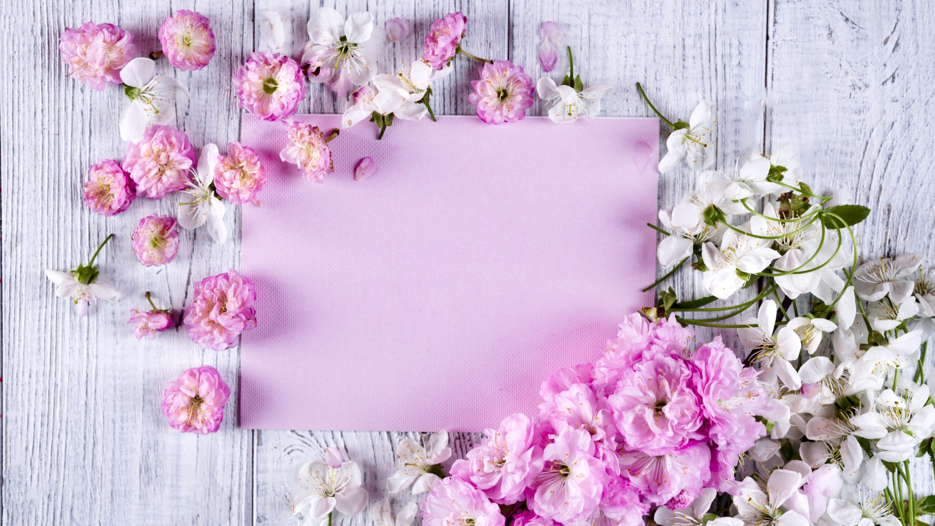 Розовые цветы луизеания и цветы вишни на столе с листом