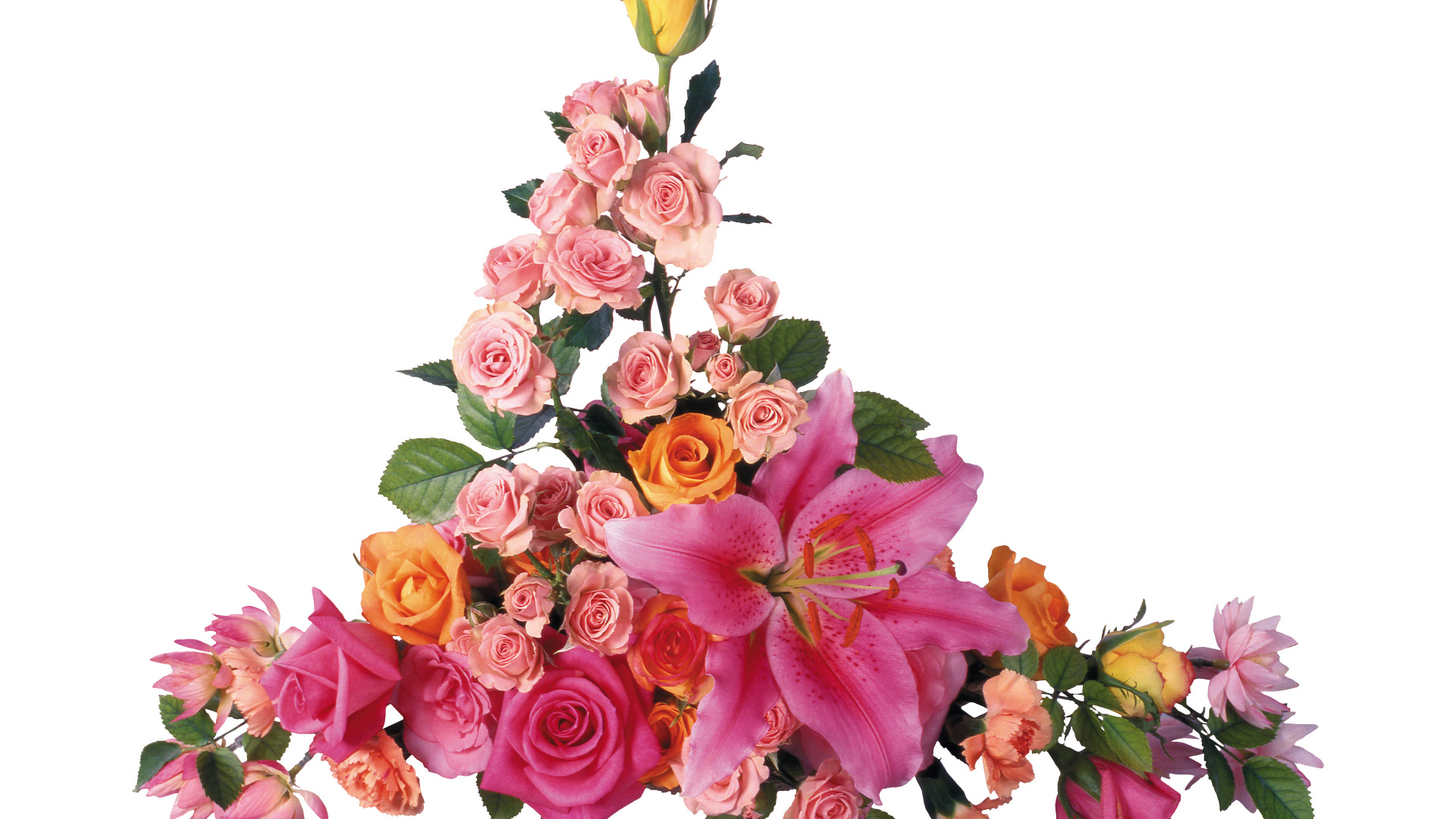 Розовые розы с лилиями на белом фоне 