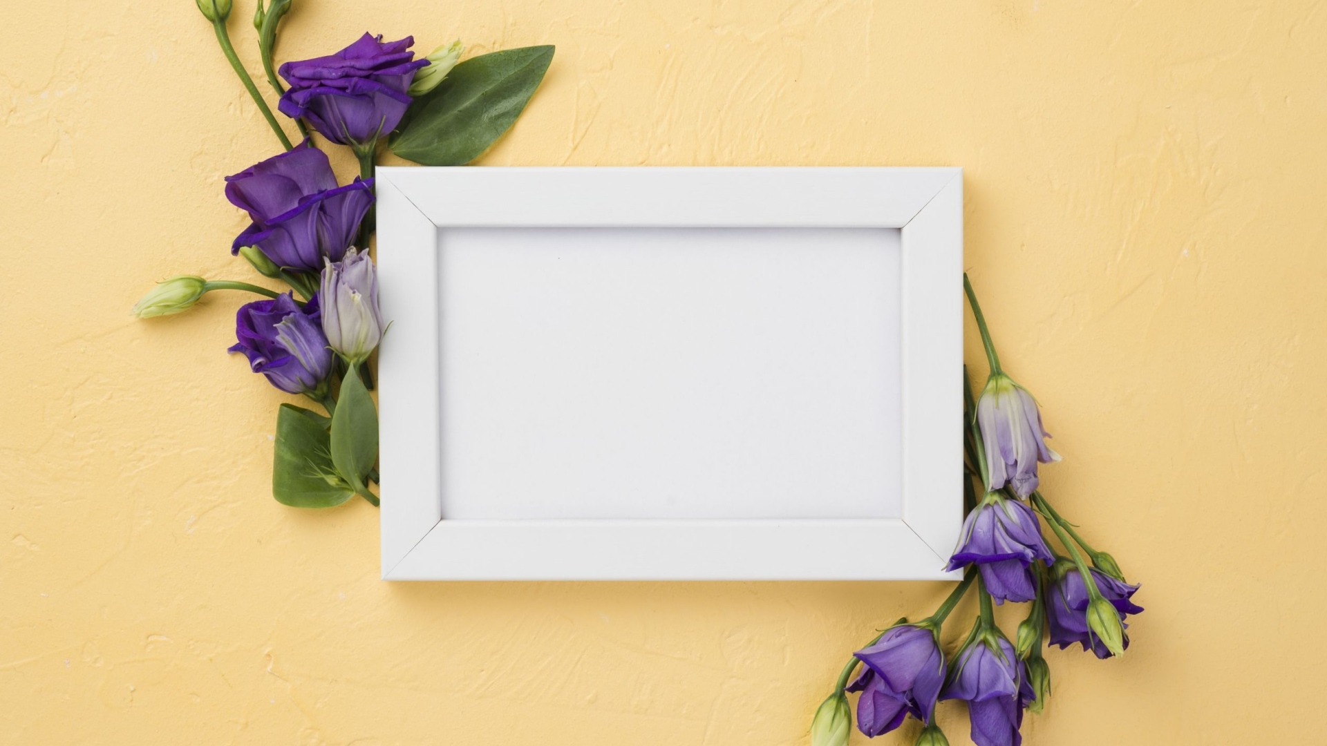 White frame with purple eustoma flowers