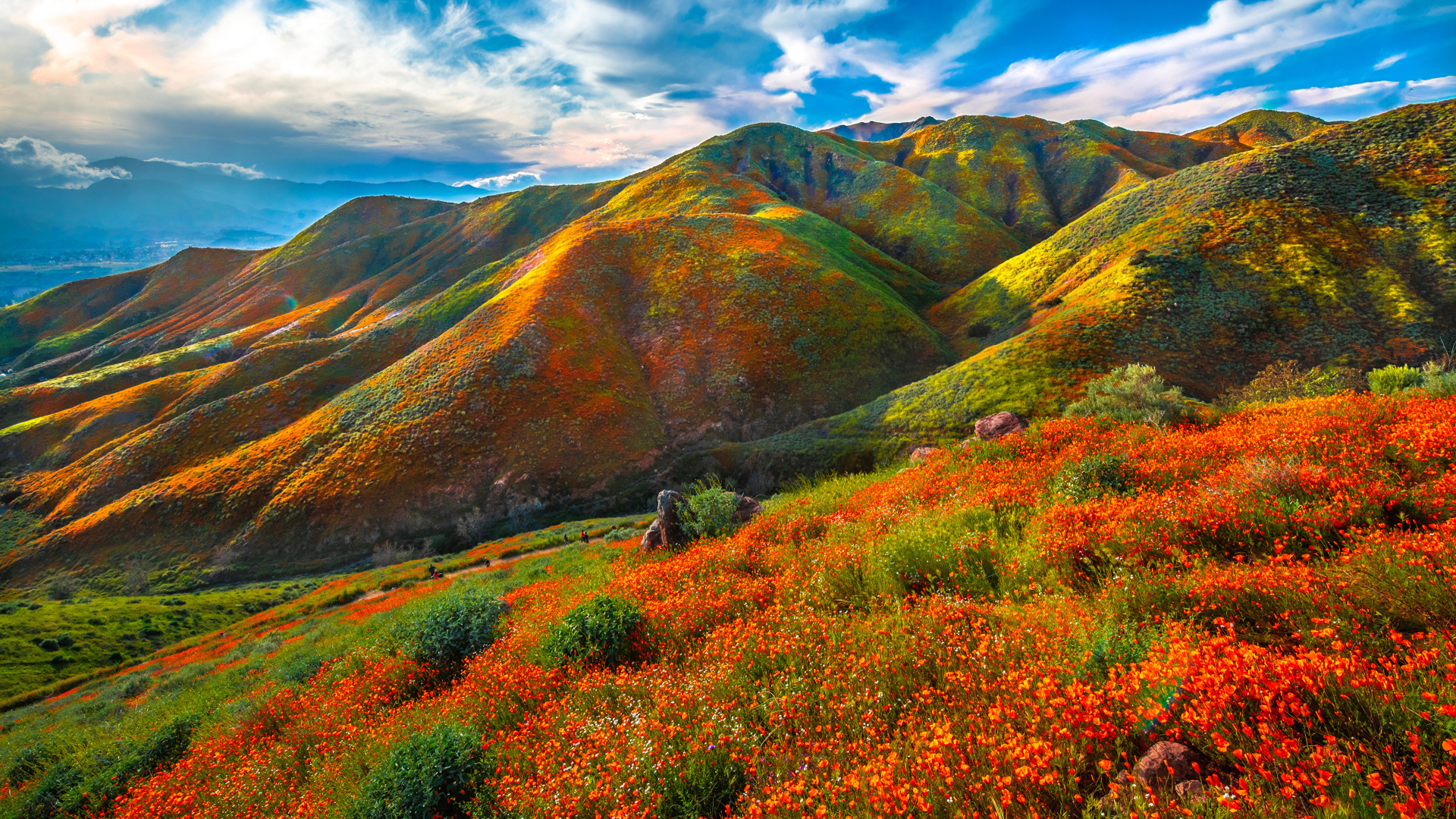 Красивая разноцветная гора под красивым голубым небом 