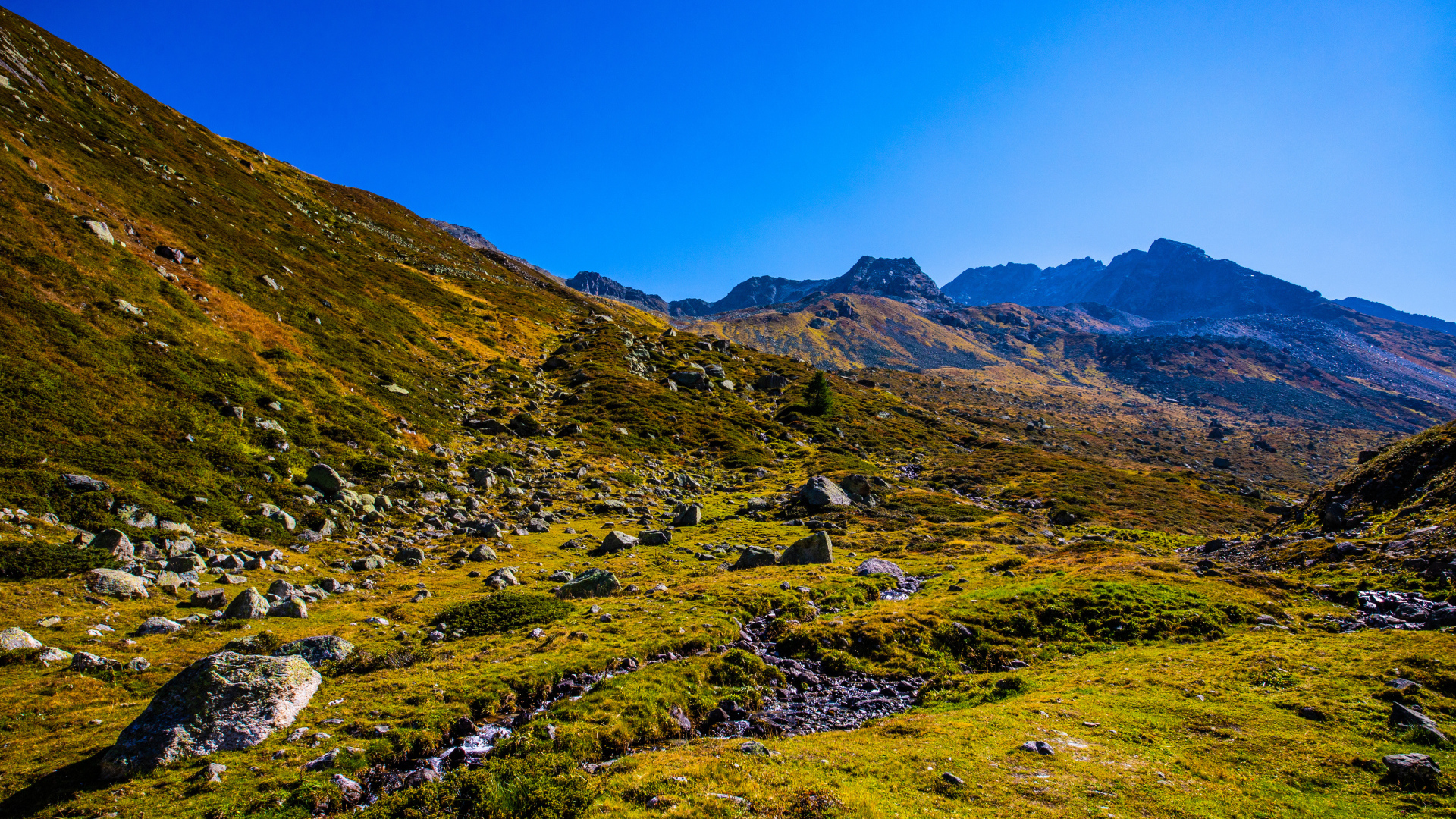 Зеленая трава на склоне горы под голубым небом 