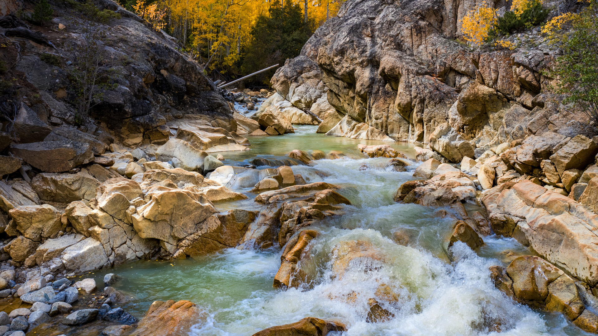 Быстрая холодная горная река бежит по камням