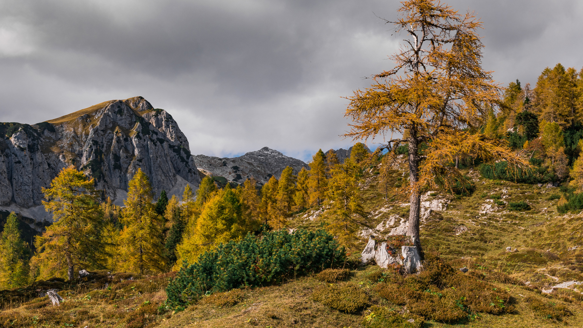 Осенний горный пейзаж под грозовым небом