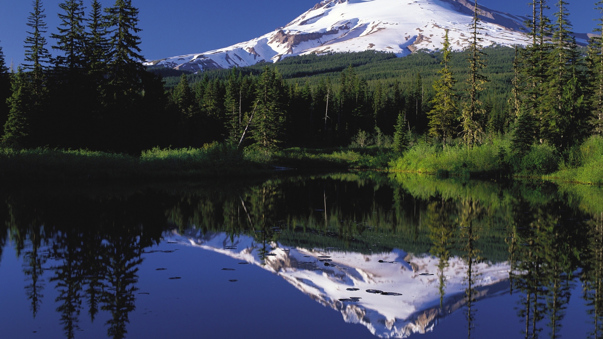 Спящий вулкан Маунт-Худ отражается в воде, США