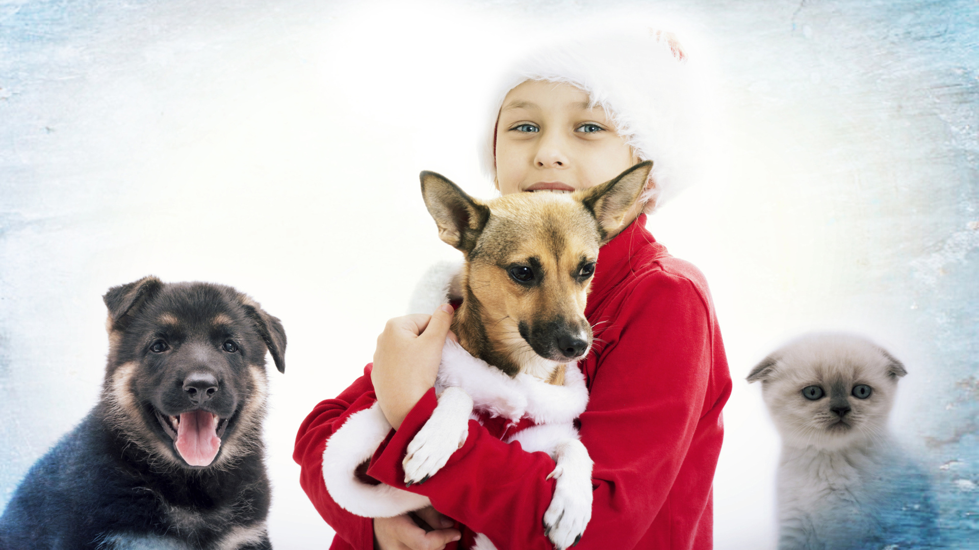 Мальчик в рождественской шапке с собаками